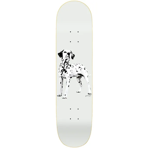 Quasi Good Boy Deck